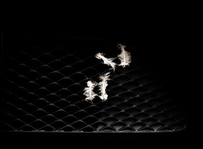 Untitled, 1841, 2025 - a Photographic Art Artowrk by Thomas Schlereth